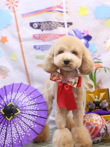 20240517むつくん